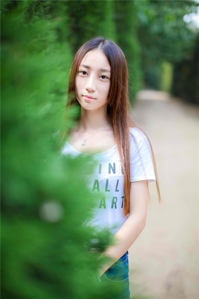 巨齿鲨